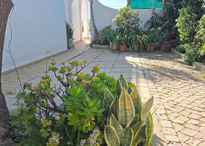 Mario - Swimming Pool - Wifi - By Bedzy * Albufeira